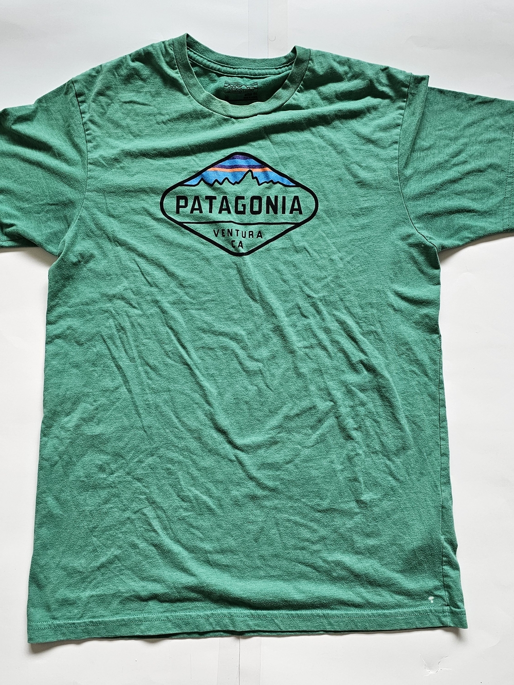 Patagonia Mens Green Short-Sleeve Logo T-Shirt